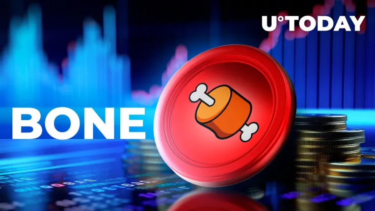 Shiba Inu: BONE Triggers 2,464% Netflow Surge as Whales Move, Here's Catch
