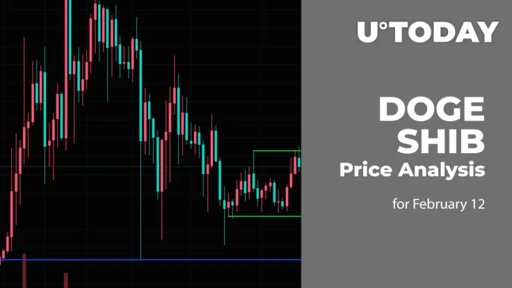 DOGE and SHIB Price Prediction for February 12