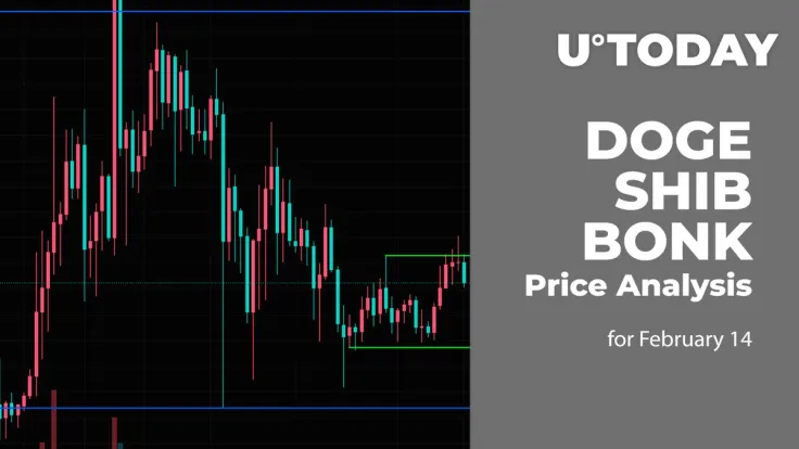DOGE, SHIB and BONK Price Prediction for February 14