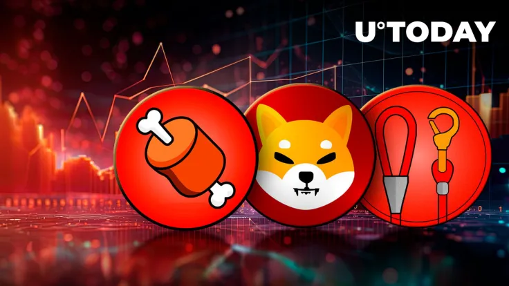 Attention: SHIB, BONE, LEASH Holder Key Warning Issued