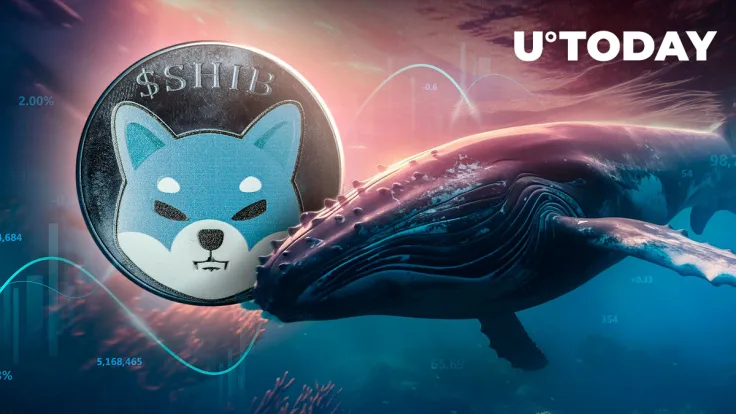 Trillions of SHIB Shifted in Epic 100% Shiba Inu Whale Activity Spike