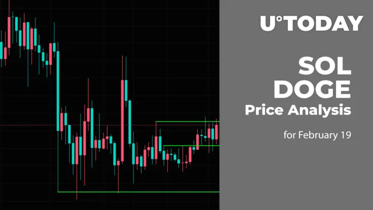 SOL and DOGE Price Prediction for February 19