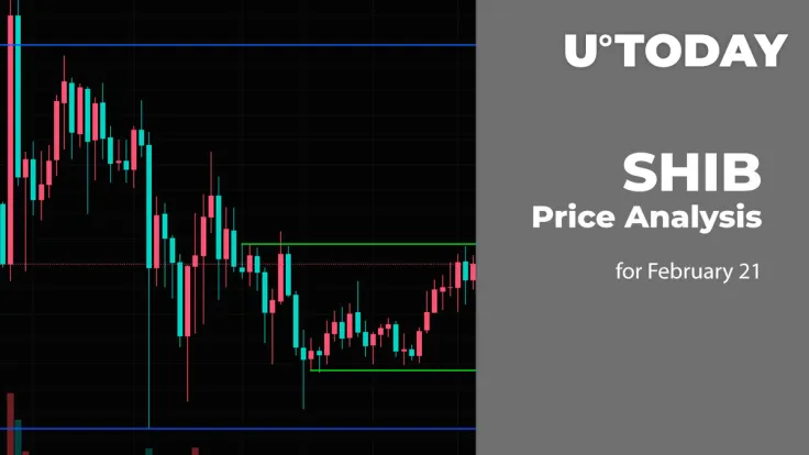 SHIB Price Prediction for February 21