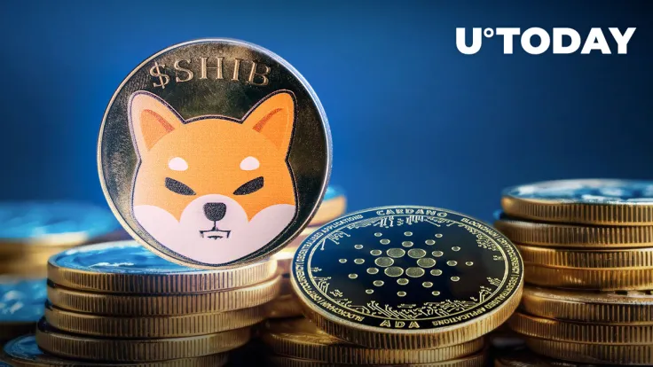 Shiba Inu (SHIB) Takes Over Cardano in Volume Amid Meme Coin Mania