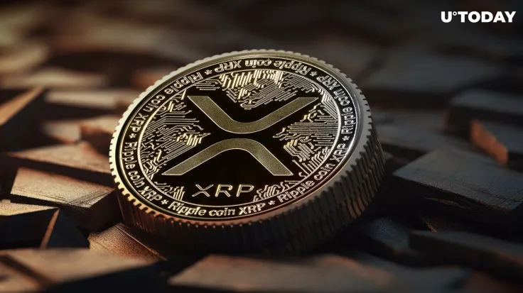 Looking for Next XRP? Pay Attention to Meme Coins, Says Top Analyst