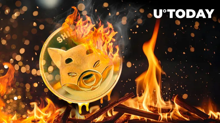 Shiba Inu (SHIB) Burns 7,912,388 Tokens as Burn Rate Shoots up 2,814%