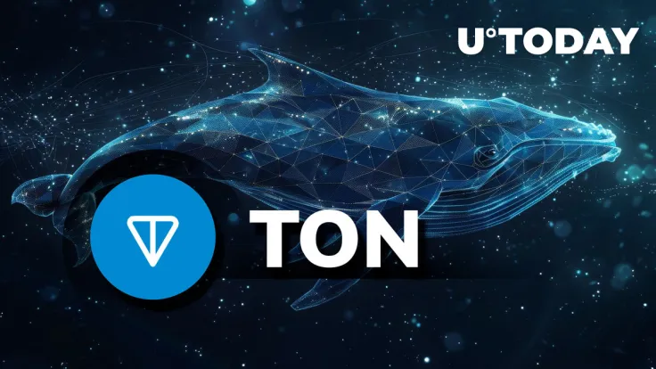 Toncoin (TON) Whale Activity Skyrockets 237% Ahead of Price Move