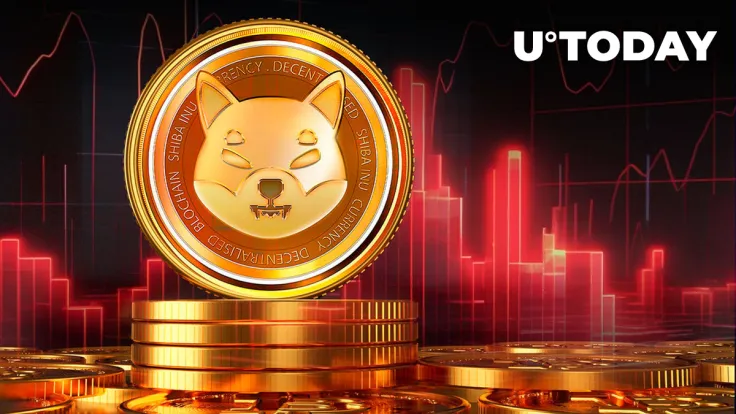 52% Drop in Key Metric Shocks Shiba Inu's Shibarium