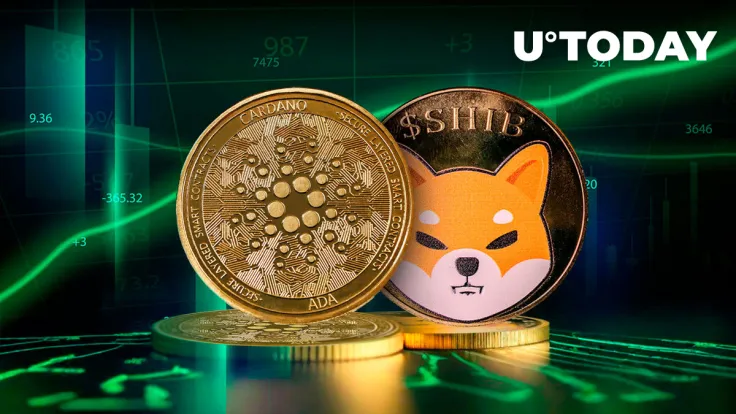 Shiba Inu (SHIB) and Cardano Explode With Whale Activity