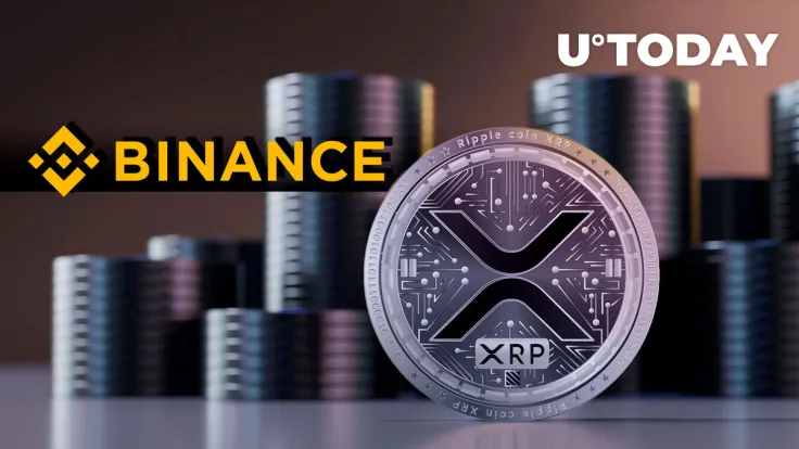 50 Million XRP Mysteriously Withdrawn From Binance in Major Whale Activity