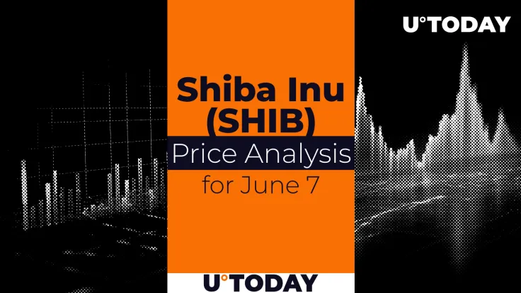 SHIB Price Prediction for June 7