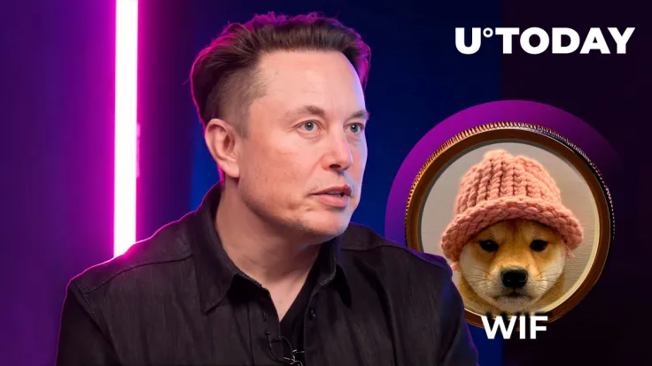 Elon Musk Mentions This Solana Meme Coin for First Time