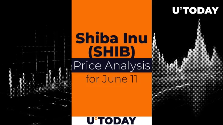 SHIB Price Prediction for June 11