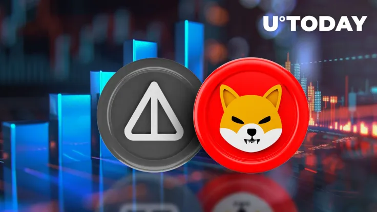 Notcoin (NOT) Overtakes SHIB in Top Ranks as SHIB Volume Drops Dramatically