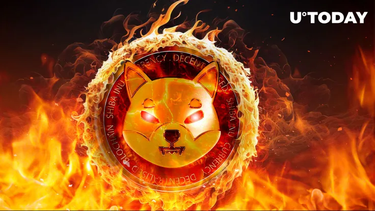 Shiba Inu (SHIB) Skyrockets 863% in Major Indicator: Details