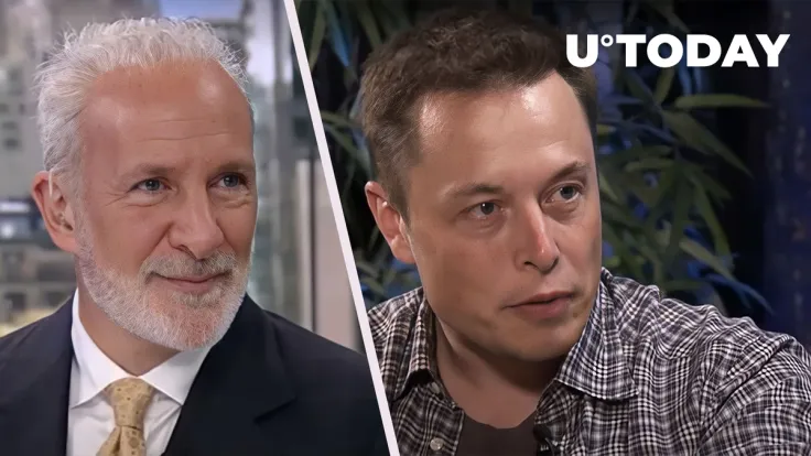 Bitcoin Critic Peter Schiff Asks Elon Musk Important Question
