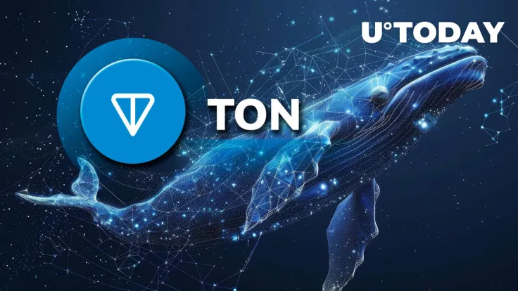 Toncoin (TON) Skyrockets 376% in Whale Activity; What's Going On?