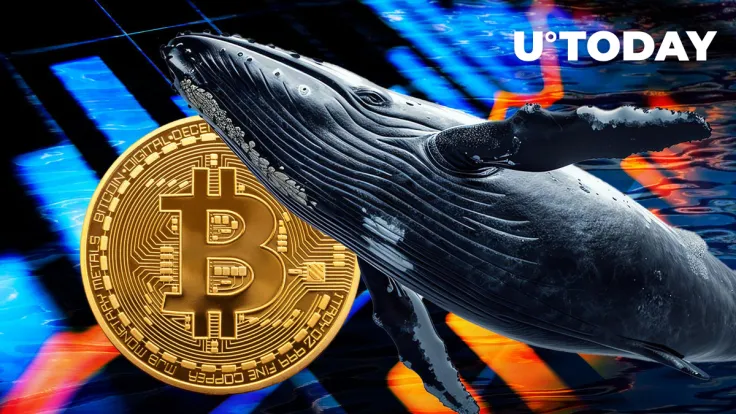 Major Bitcoin Whale Buys $395 Million Worth of BTC After Recent Price Drop 