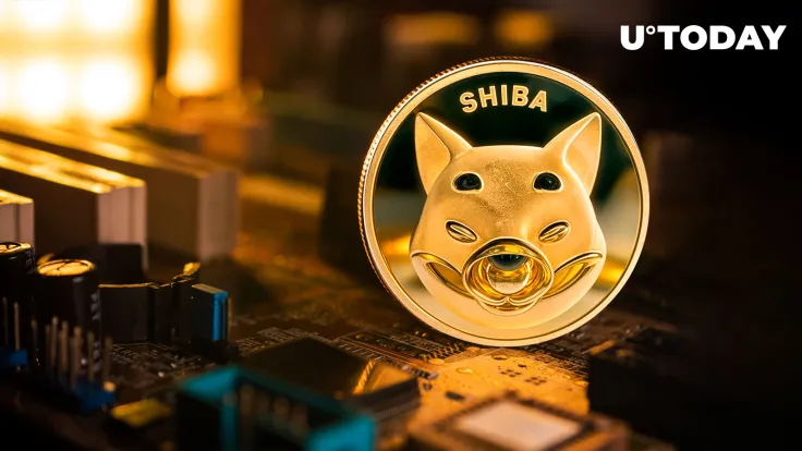 37 Million Shiba Inu (SHIB) in 24 Hours, What's Happening?