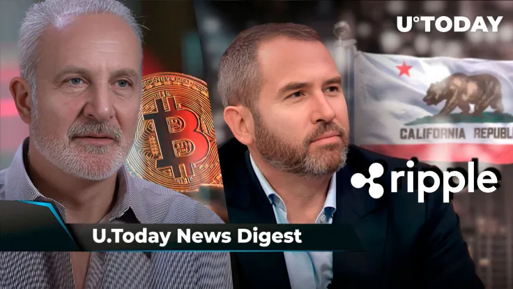 Peter Schiff Issues Gloomy BTC Price Prediction, Ripple CEO Hails 'Big Win' in California, SHIB Burn Rate Surges 2,682% With No Price Momentum: Crypto News Digest by U.Today