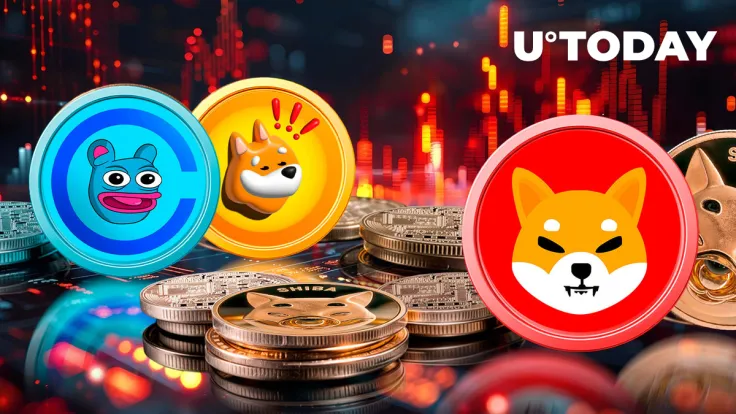 Top Meme Coins BRETT, PEPE, FLOKI Plummeting as Crypto Dips