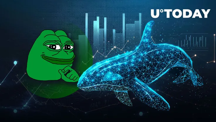 Major Pepe Whale Capitulates 