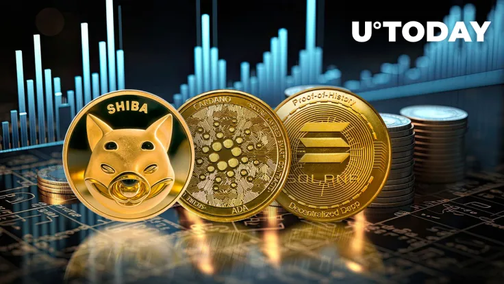 SHIB, ADA, SOL Poised for Epic Rebound If This Indicator Is Validated