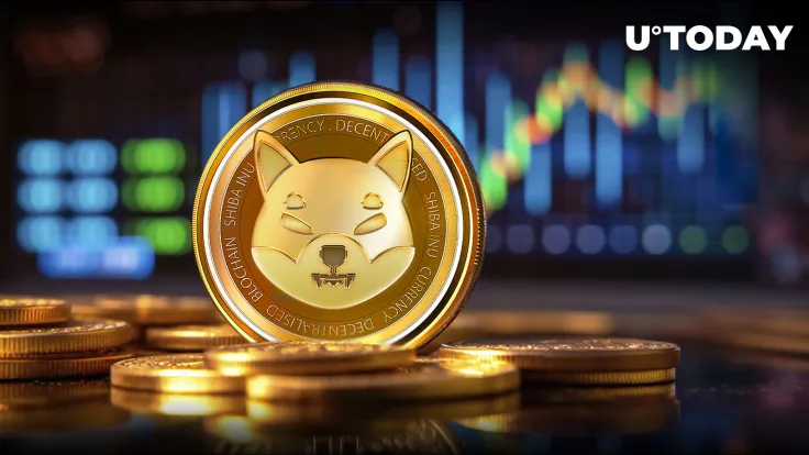 Shiba Inu (SHIB) Skyrockets 6,018% in Crucial Metric