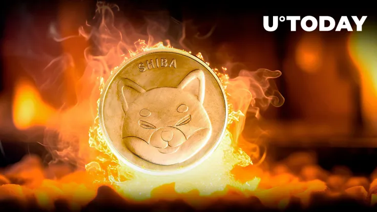 Millions of SHIB Go Up in Smoke as Shiba Inu Burn Rate Skyrockets by 207%