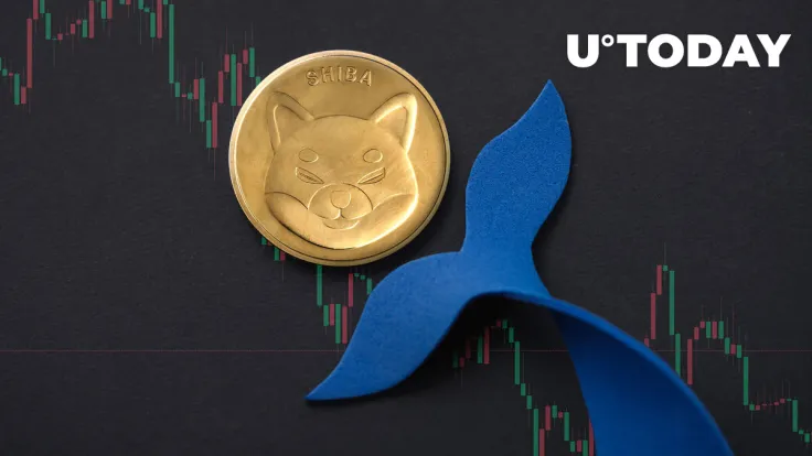 Shiba Inu (SHIB) Loses 84% in Key Metric as Whales Disappear
