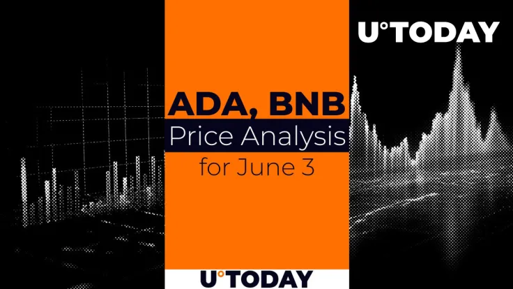 ADA and BNB Price Prediction for June 3