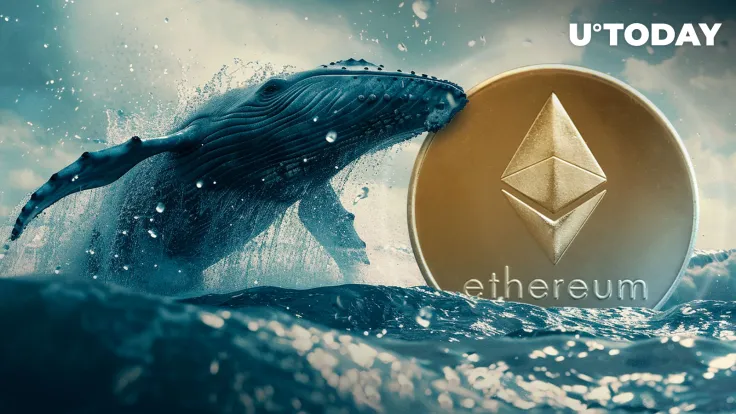Ethereum Whales Unleash Epic Buying Spree Amid ETF Drama