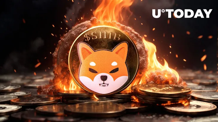 SHIB Skyrockets 2,834% In This Metric Despite Price Remaining 6% Down