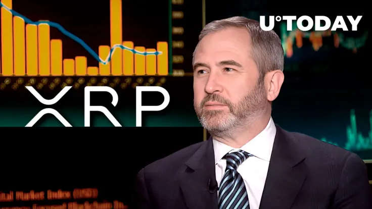 Ripple CEO Backs XRP Community Amid Major Event: Details
