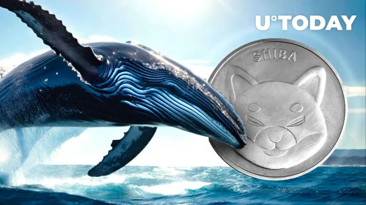 Shiba Inu Whale Activity Skyrockets by 170% to Uphold 39 Trillion SHIB