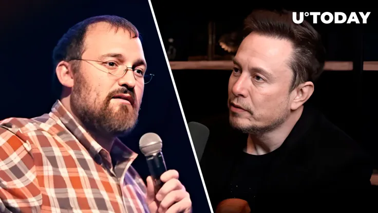 Elon Musk Might Own 20% of Dogecoin's Supply, Cardano Founder Suggests