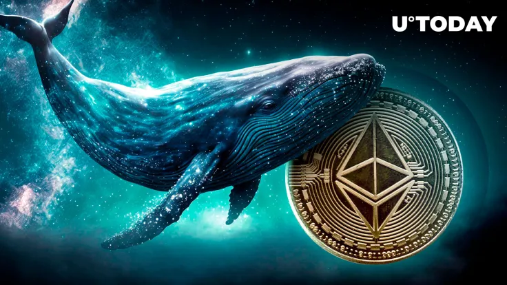 Ethereum Whales Scoop up $2.45 Billion Worth of ETH in Weeks