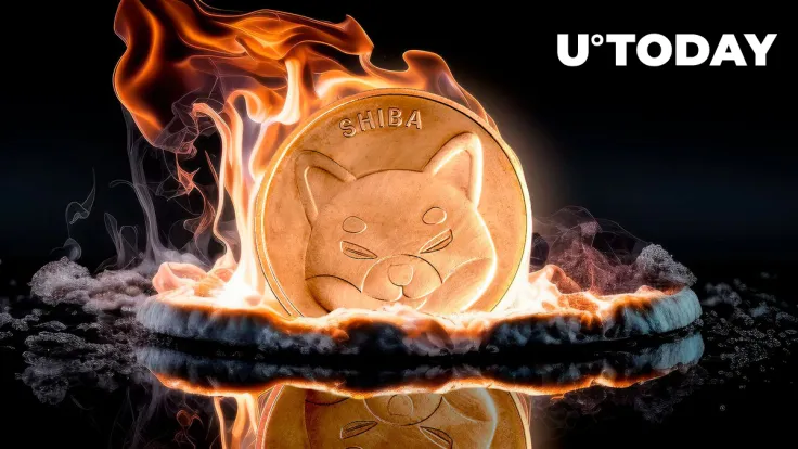 Shiba Inu (SHIB) Skyrockets 2,682% With No Price Momentum