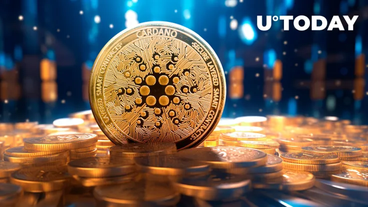 Cardano Skyrockets Epic 34% in Volume: Thanks to New Meme Coin?