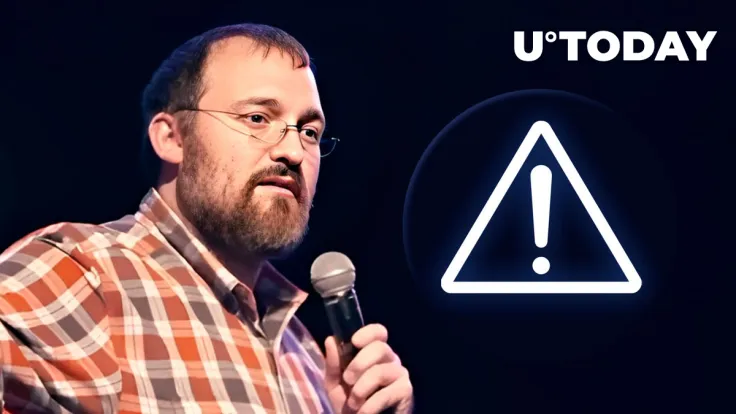 Cardano Founder Breaks Silence on Recent Spam Attack on Network
