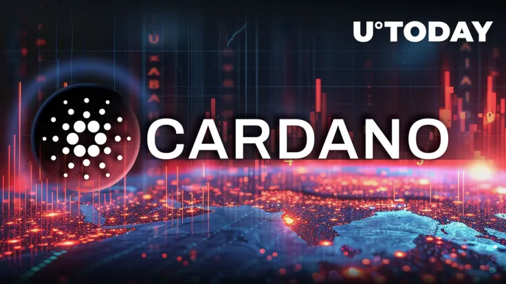 Cardano Meme Coin Crashes 96% in Hour After ADA Creator Says This