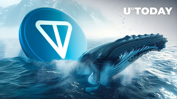 Toncoin Skyrockets 306% in Whale Activity as TON Trails XRP
