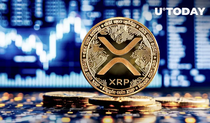 Whales Push XRP Price Higher, but There’s Worrying Sign