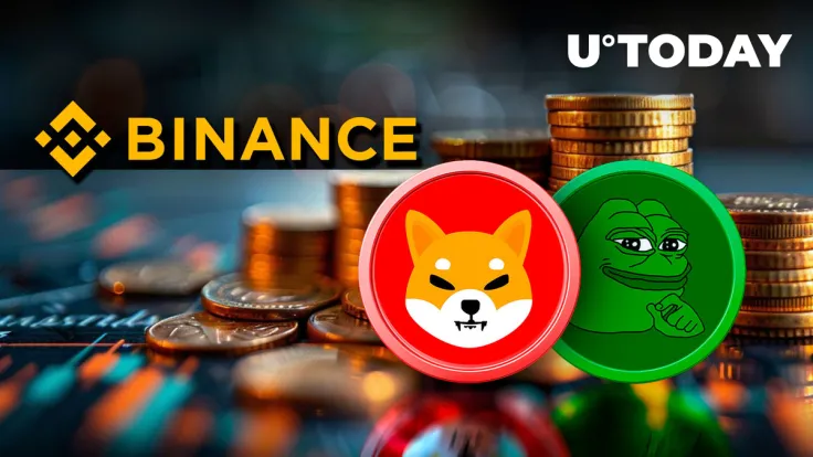 Billions of SHIB and PEPE Exit Binance in $166 Million Crypto Bloodbath