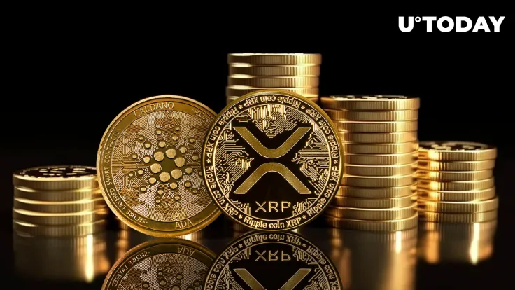 Former Goldman Sachs Analyst Slams XRP and ADA as 'Cult Meme Coins'