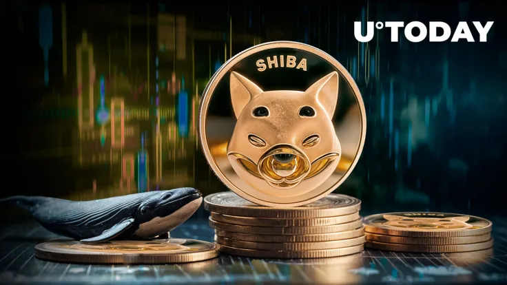 Shiba Inu (SHIB) Whales Disappeared, 15% Plummeting