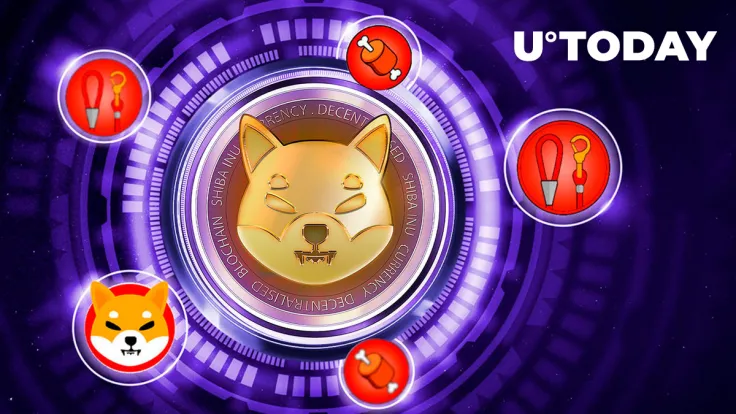 Harsh Response to SHIB, BONE, LEASH Haters Issued by Shiba Inu Team