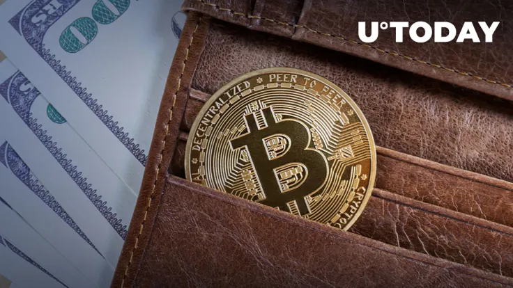 Bitcoin: 10,000 BTC Wallets Pack 212,450 BTC to Scale 6 Year High