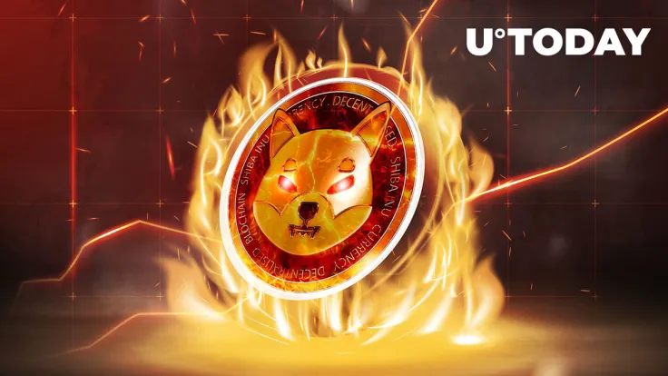 Shiba Inu Skyrockets 347% in Burn Rate, With Millions of SHIB Burned