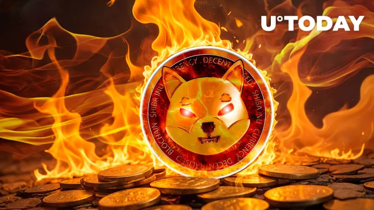 Key SHIB Metric Explodes 3,988%, Here's What's Happening